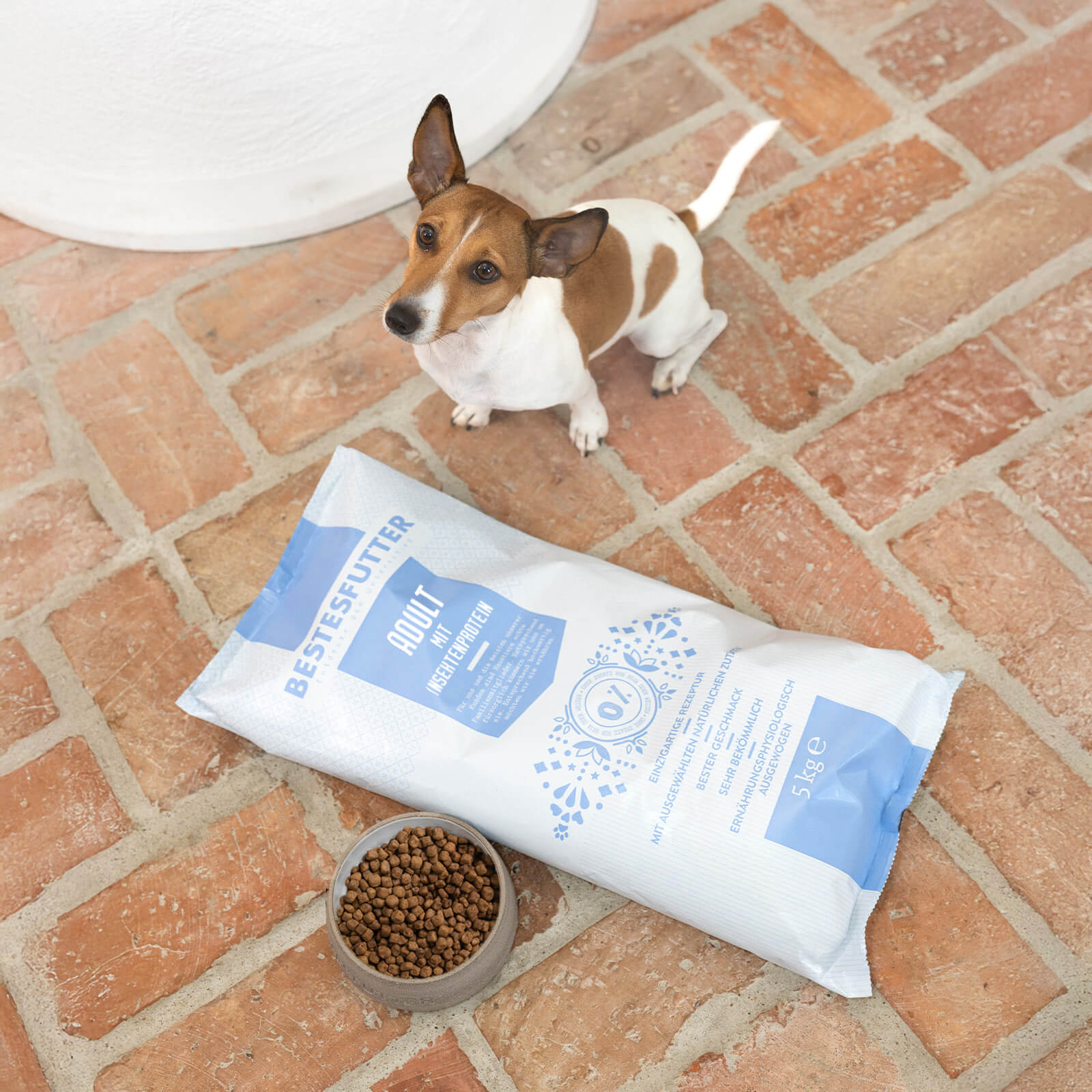 ADULT MIT INSEKTENPROTEIN