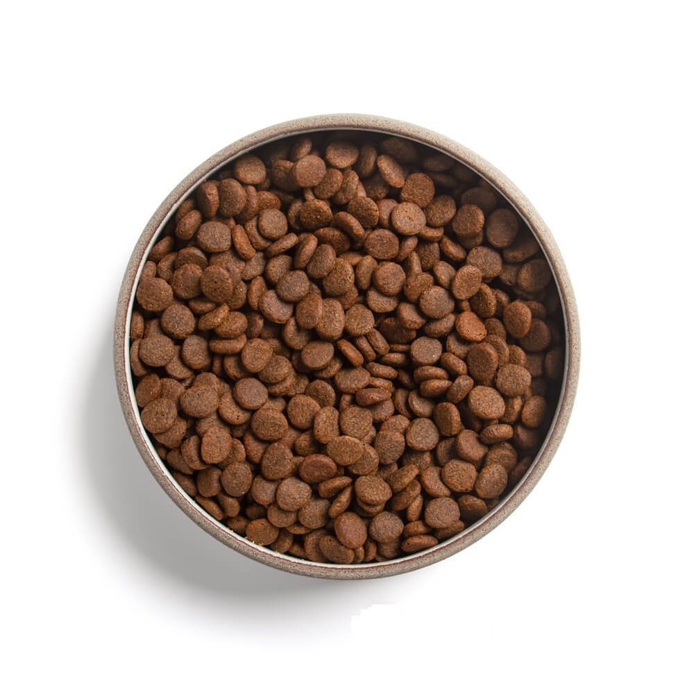 Grain Free mit Wild & Lachs (ehemals Grain Free mit Wild & Lamm) 